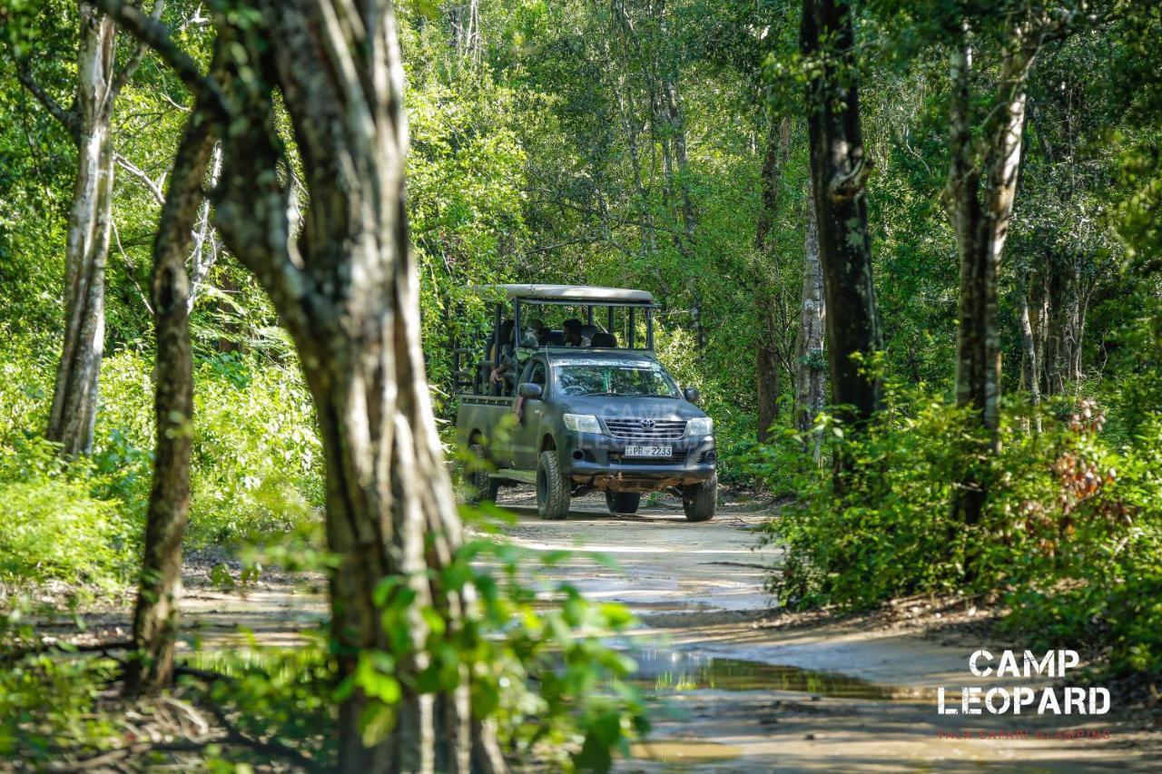Camp Leopard - Yala Safari Glamping Hotel Exterior foto