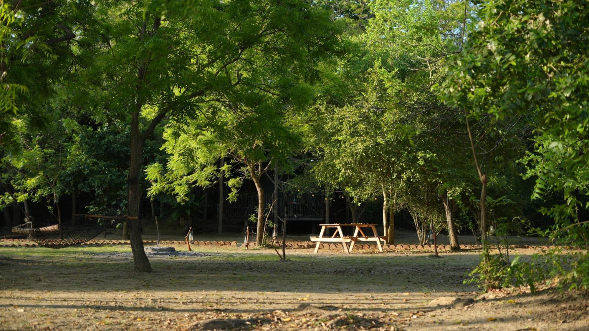 Camp Leopard - Yala Safari Glamping Hotel Exterior foto