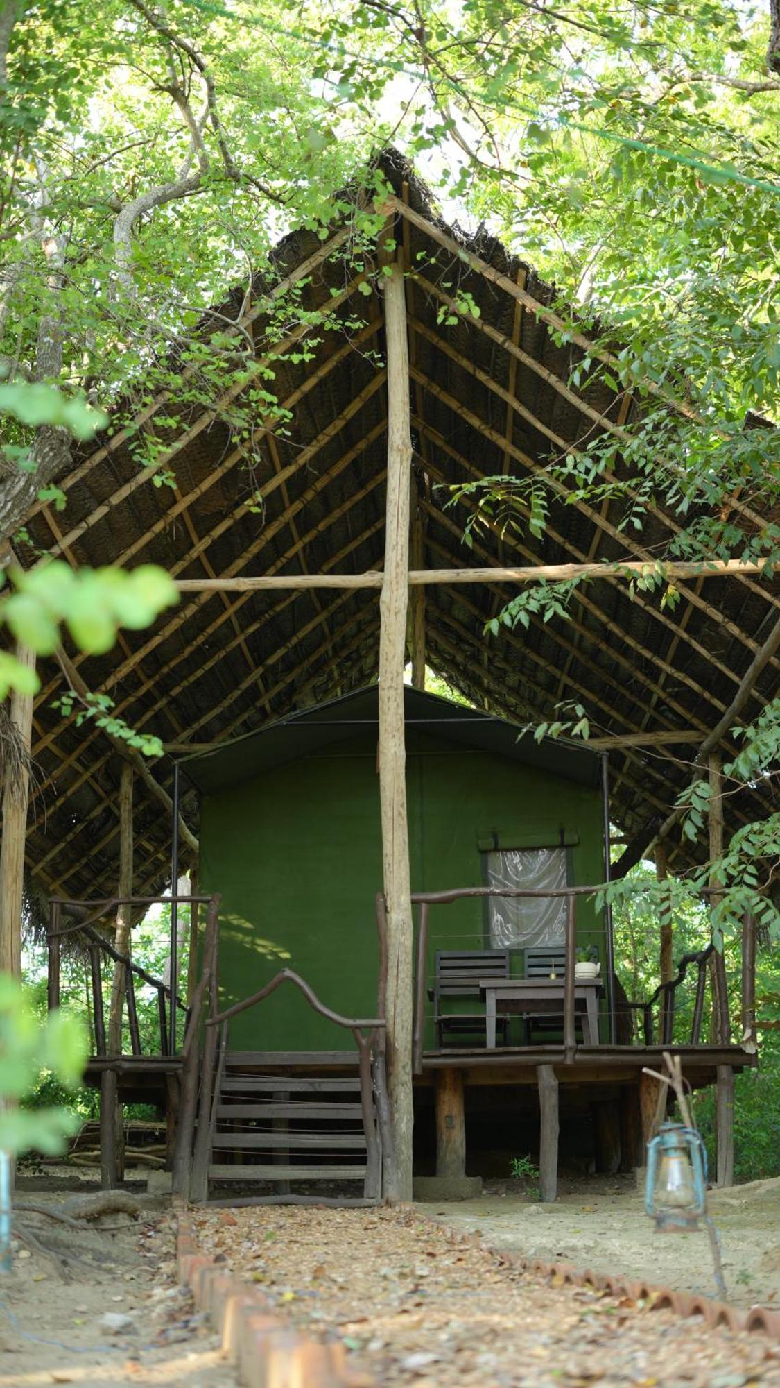 Camp Leopard - Yala Safari Glamping Hotel Exterior foto